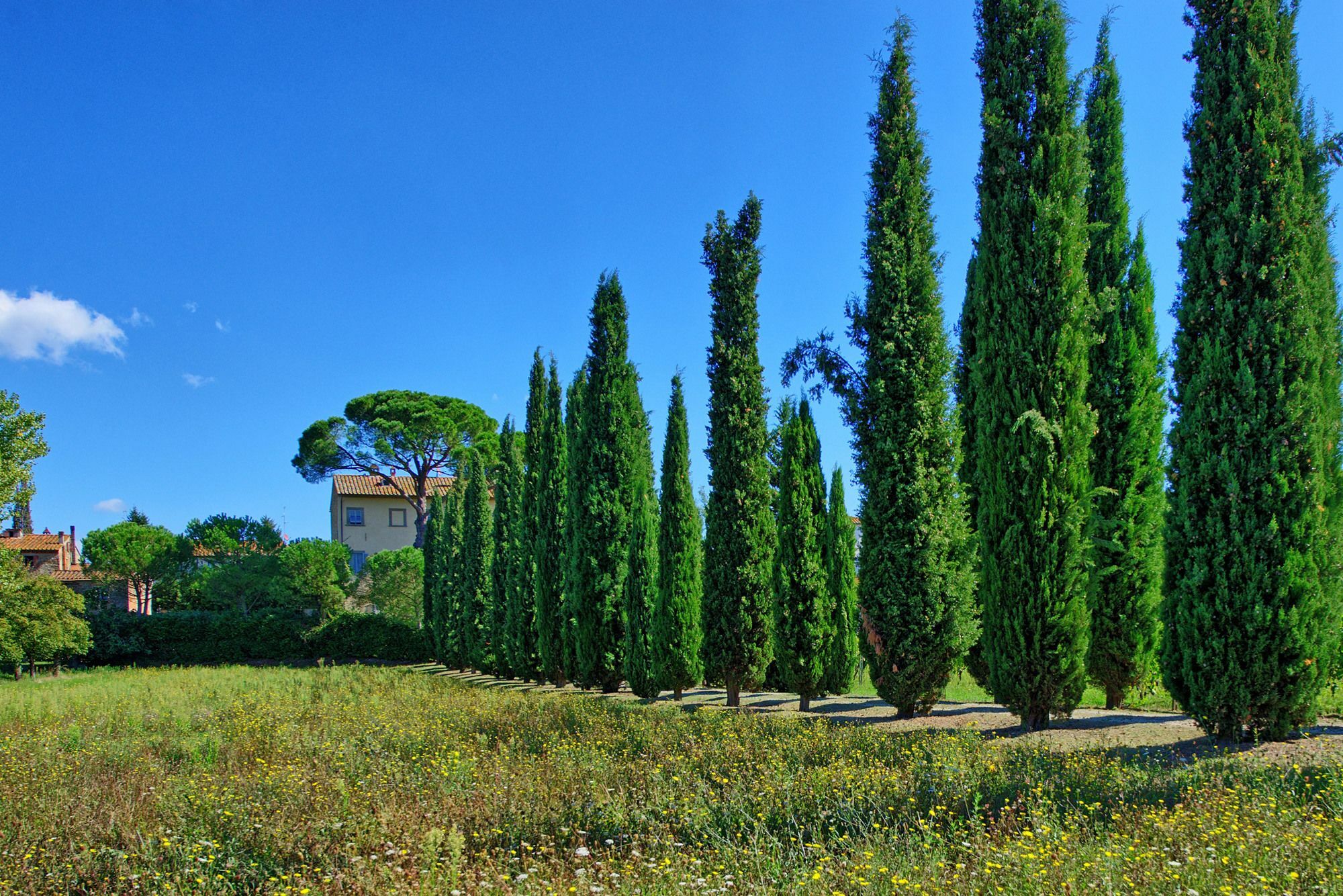 Villa Giovi Arezzo Exterior foto
